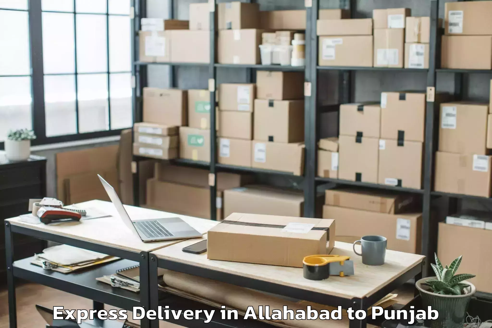 Quality Allahabad to Faridkot Express Delivery